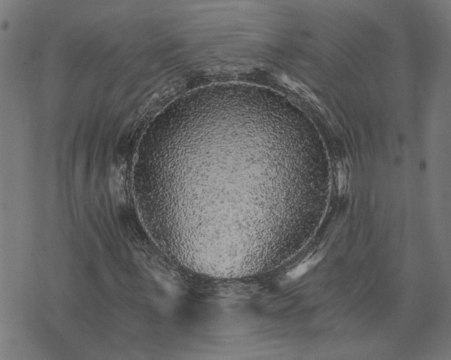 X0000074221059200609081550