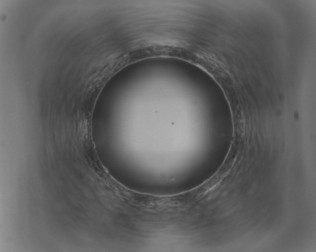 X0000074221061200609081550