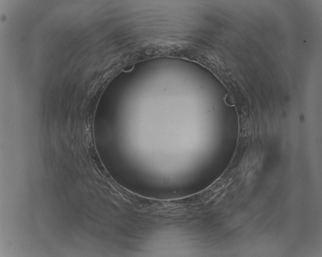 X0000074221109200609081549