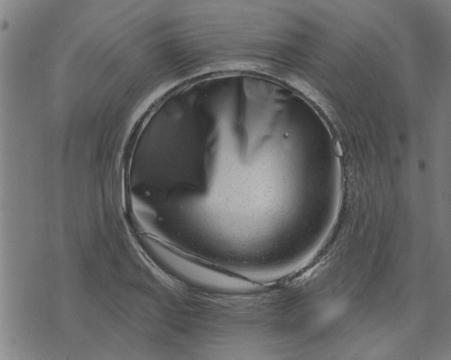 X0000074221127200609081549