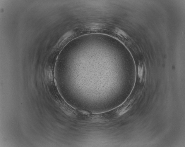 X0000074221155200609081549