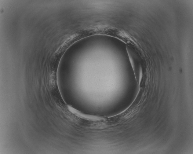 X0000074221156200609081549