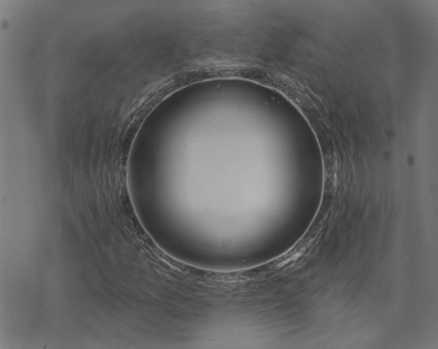X0000074221157200609081549