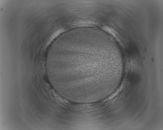 X0000074221211200609081547