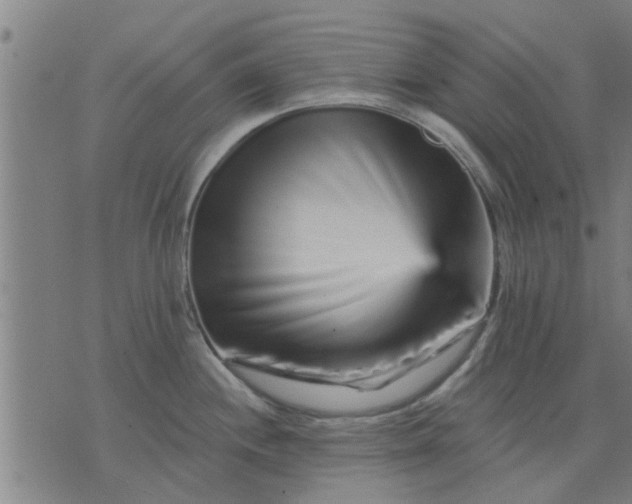 X0000074221244200609081548