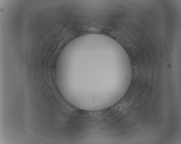X0000074221249200609081547