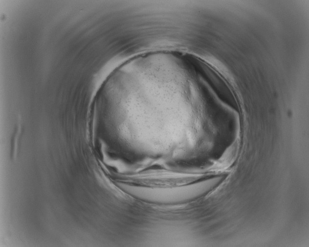X0000074221296200609081546