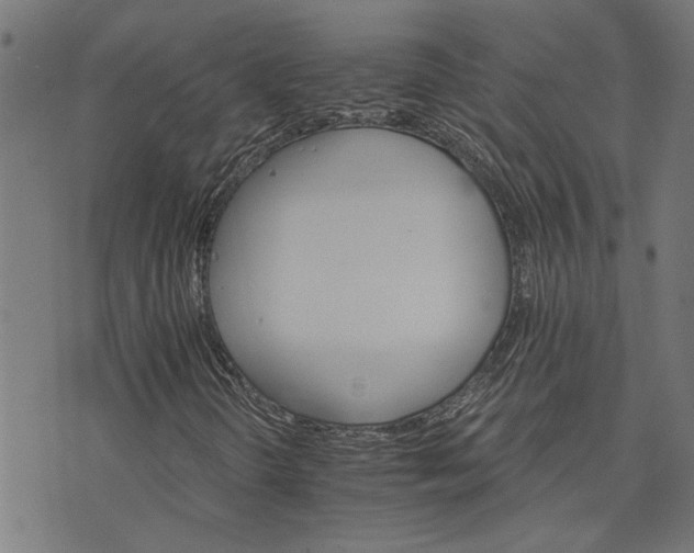 X0000074221298200609081546