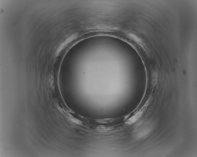 X0000074221307200609081546