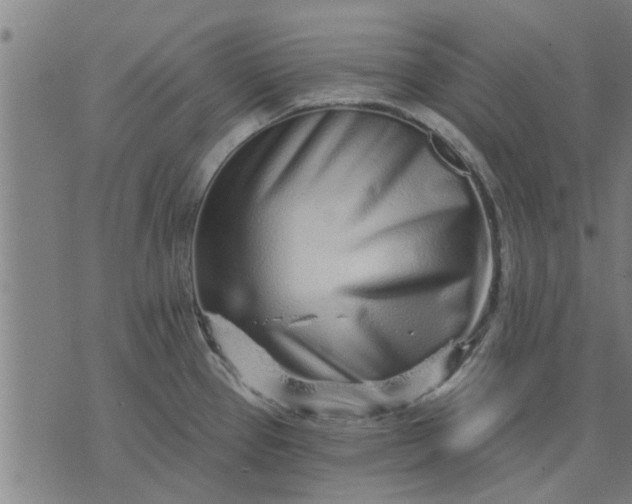 X0000074221337200609081546