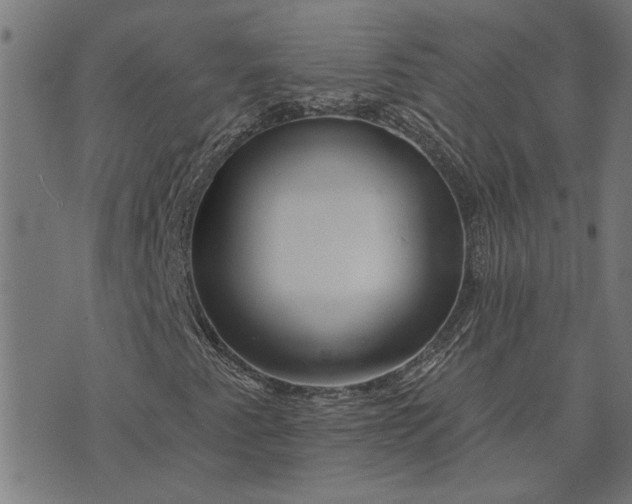 X0000074221345200609081546