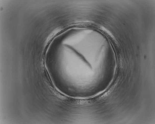 X0000074221362200609081545