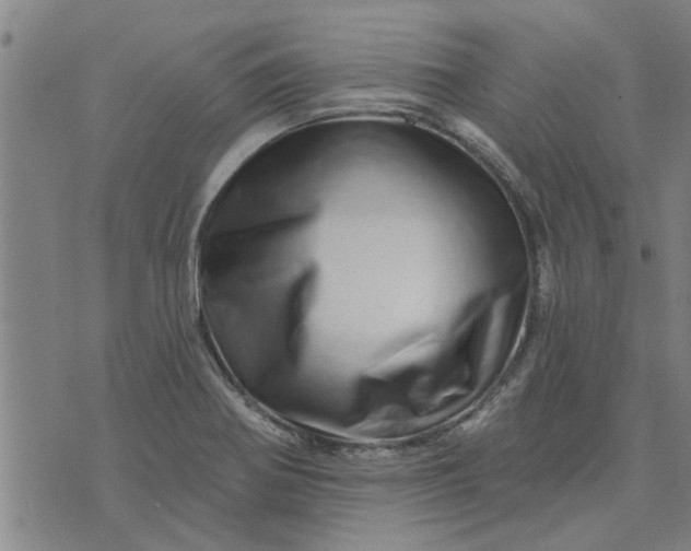 X0000074221370200609081545