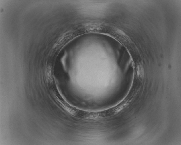 X0000074221396200609081544