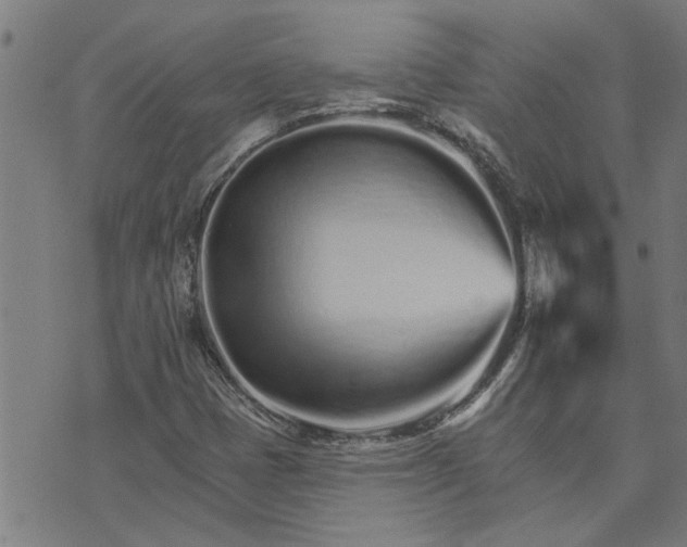 X0000074221401200609081544