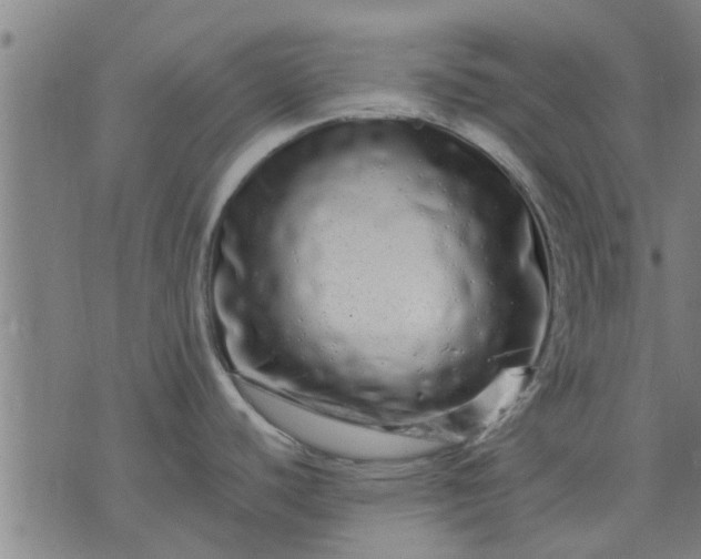 X0000074221440200609081545