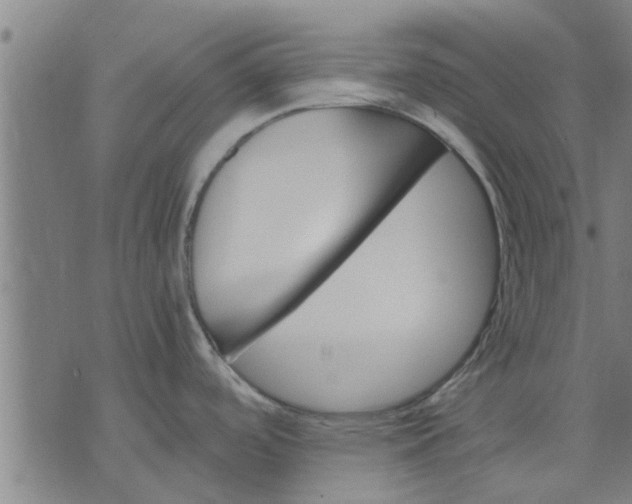 X0000074221488200609081543