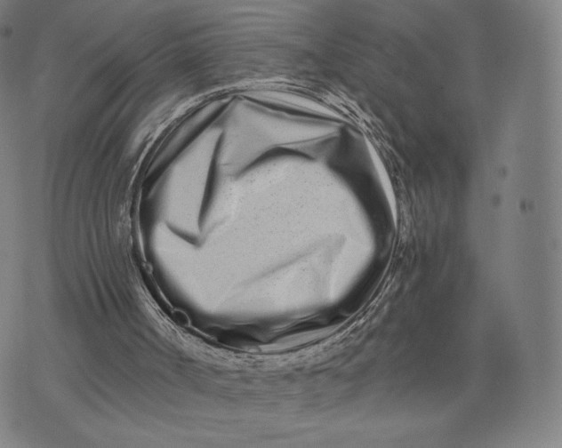 X0000074220002200609151633