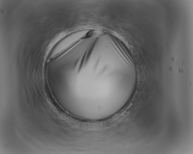 X0000074220008200609151633