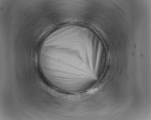 X0000074220024200609151632
