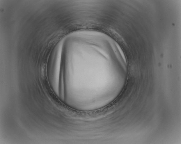 X0000074220026200609151632