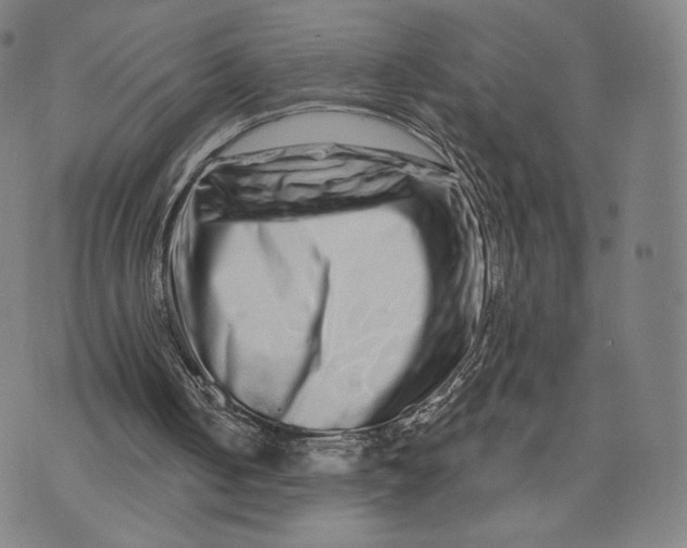 X0000074220050200609151631