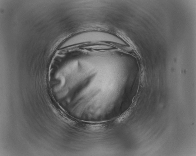 X0000074220058200609151631