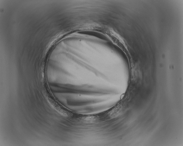 X0000074220059200609151631