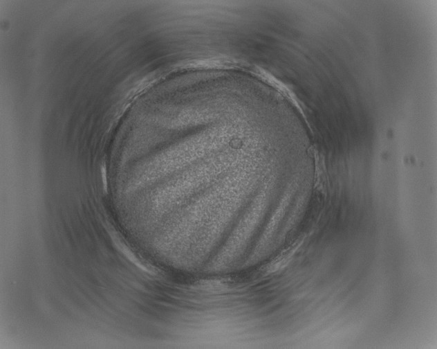 X0000074220061200609151631