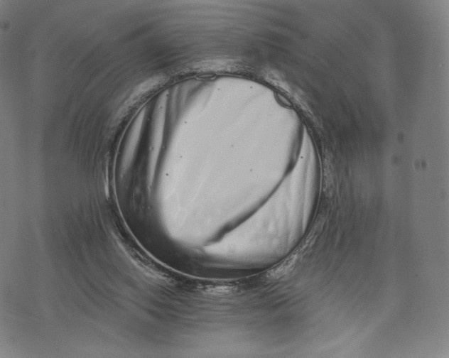 X0000074220062200609151631