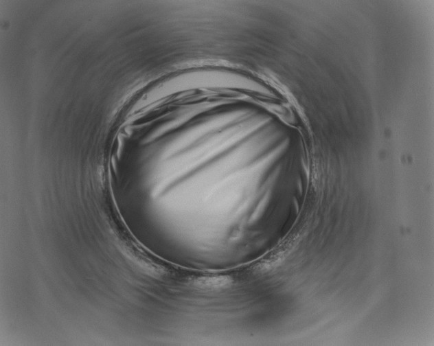 X0000074220063200609151631