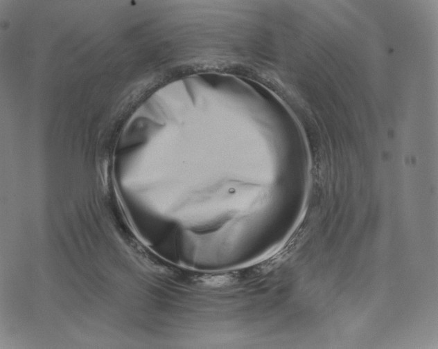 X0000074220070200609151632