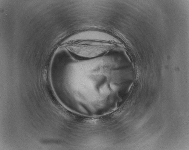 X0000074220071200609151632