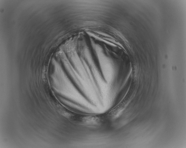 X0000074220073200609151632