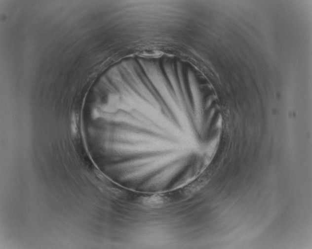X0000074220075200609151632