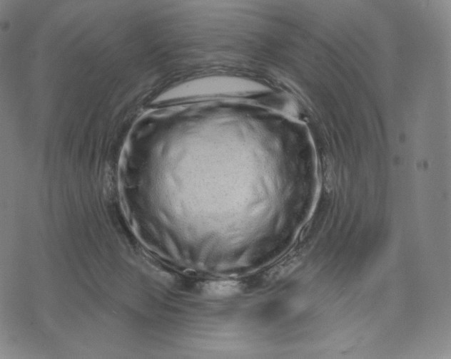 X0000074220077200609151632