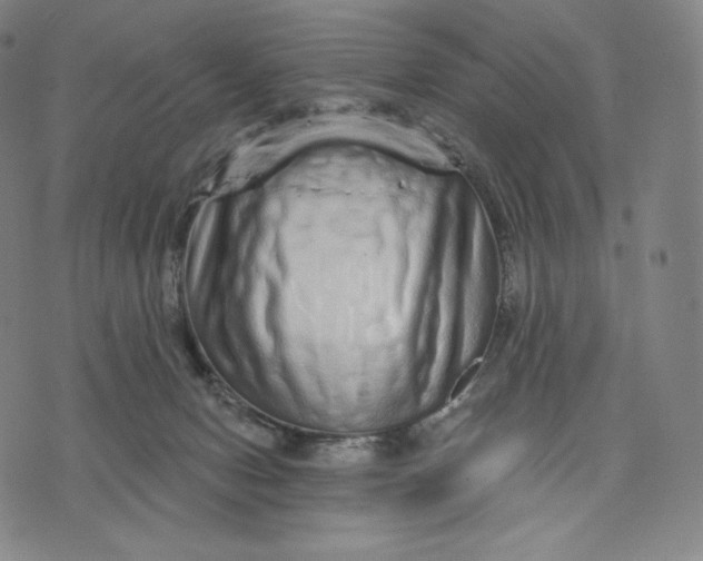 X0000074220078200609151632