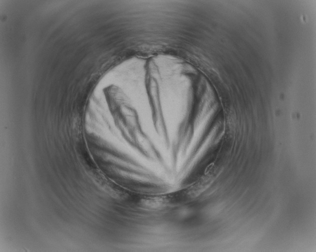 X0000074220079200609151632