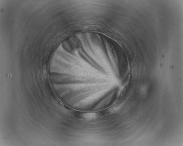 X0000074220085200609151632