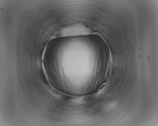 X0000074220086200609151632