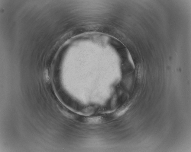 X0000074220089200609151632