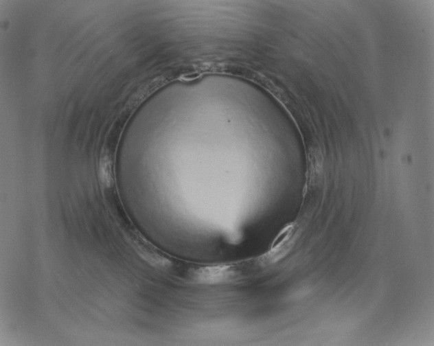 X0000074220090200609151632