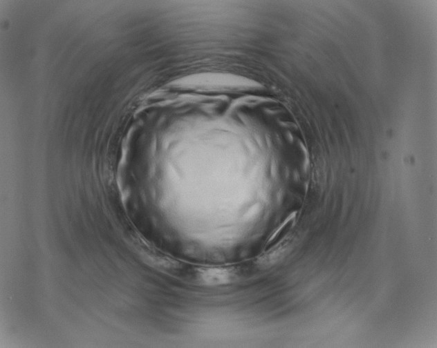 X0000074220091200609151632