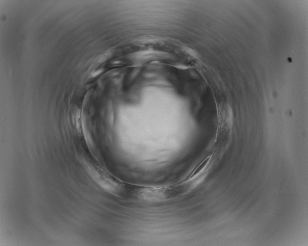 X0000074220094200609151632