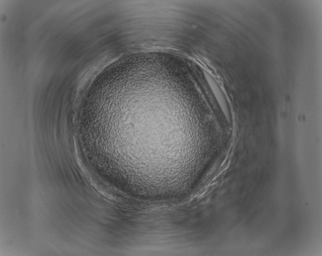 X0000074220097200609151631