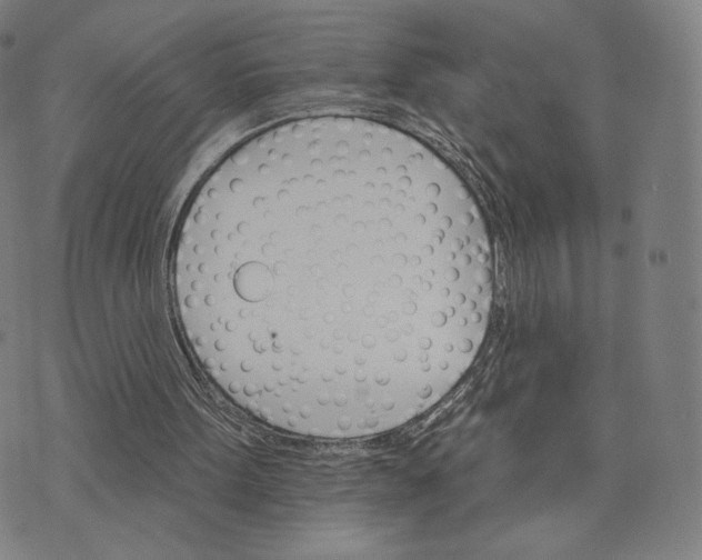 X0000074220099200609151631