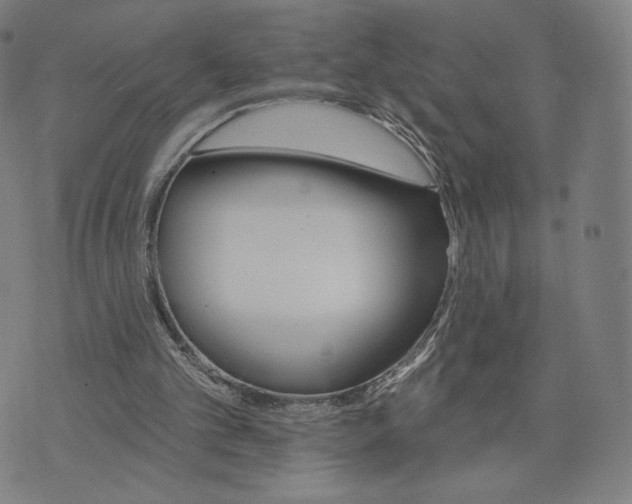 X0000074220101200609151631