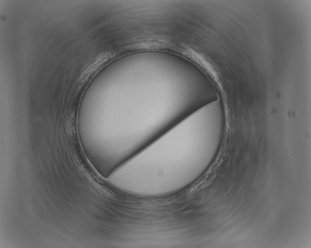 X0000074220105200609151631