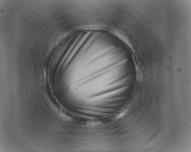 X0000074220109200609151631