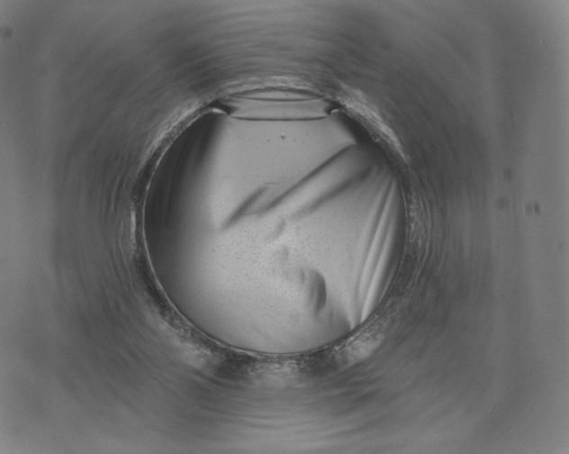 X0000074220110200609151631